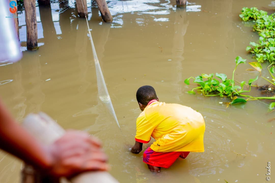Développement rural
